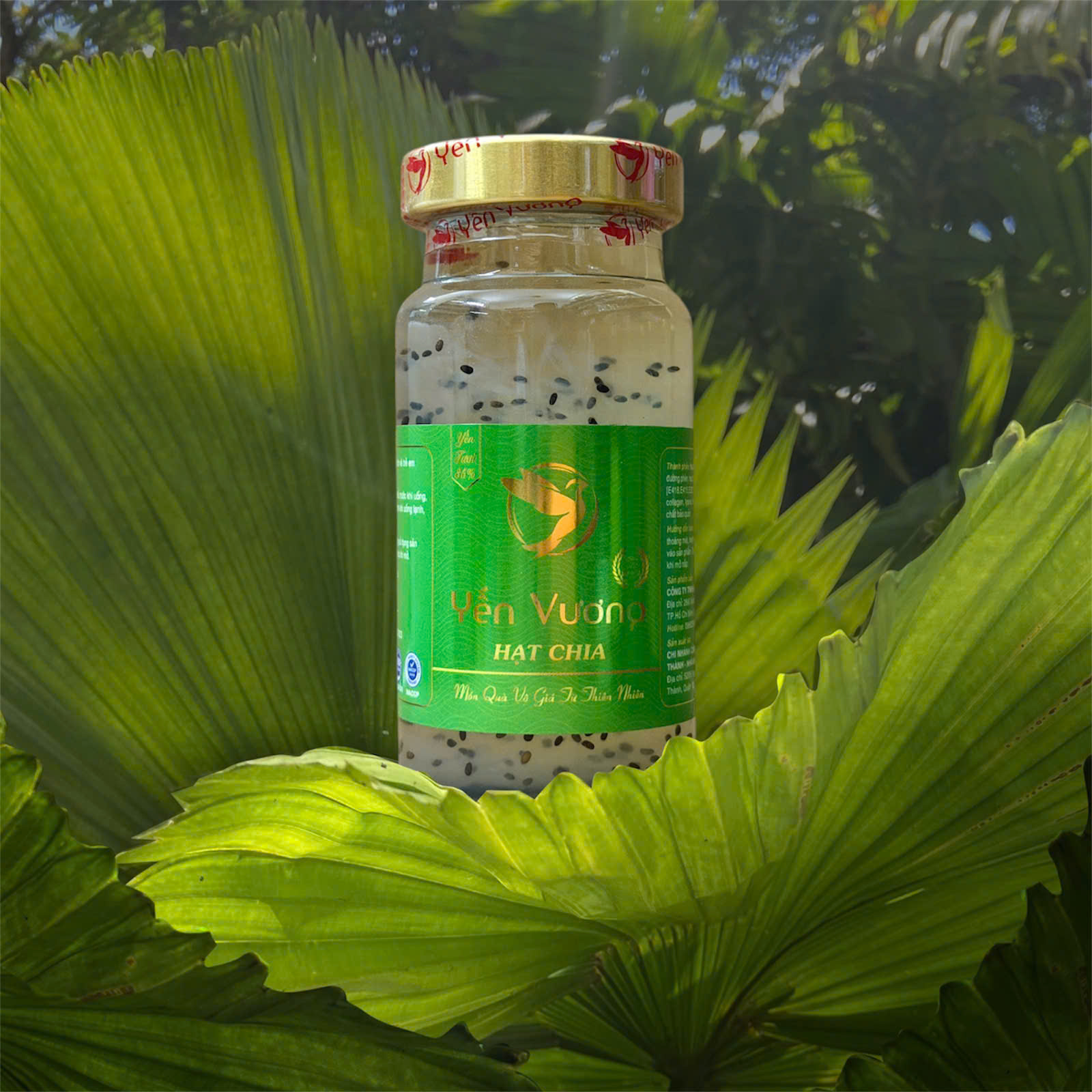 Hũ yến Vương 140ml Hạt Chia